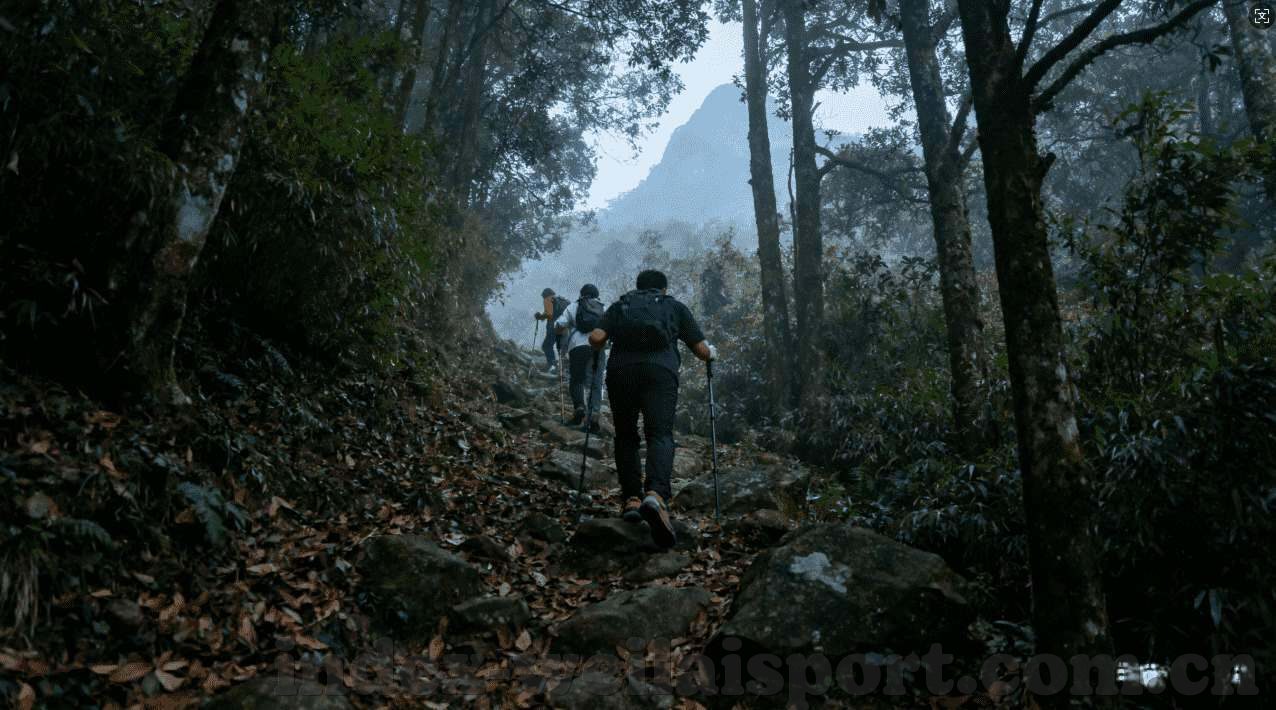 新天地娱乐水果机版本-新天地娱乐水果机版本，娱乐新体验与技术创新